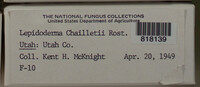 Image Associated With the Occurence